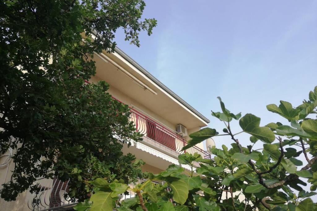 Spacious 2-Room Apartment With Beautiful Sea View ツリクヴェニツァ エクステリア 写真