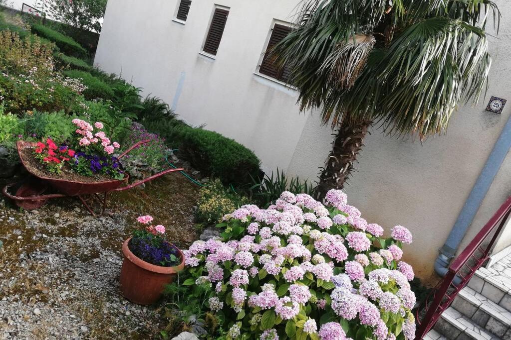 Spacious 2-Room Apartment With Beautiful Sea View ツリクヴェニツァ エクステリア 写真
